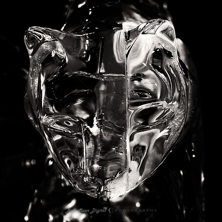 Carved Ice Drink Dispenser
